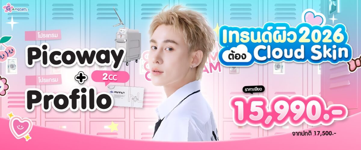 โปรโมชั่น picoway และ profilo