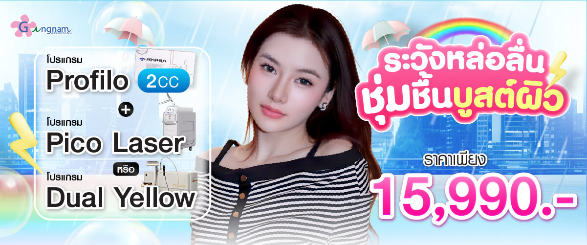 โปรโมชั่น โปรแกรม Profilo บวก picolaer