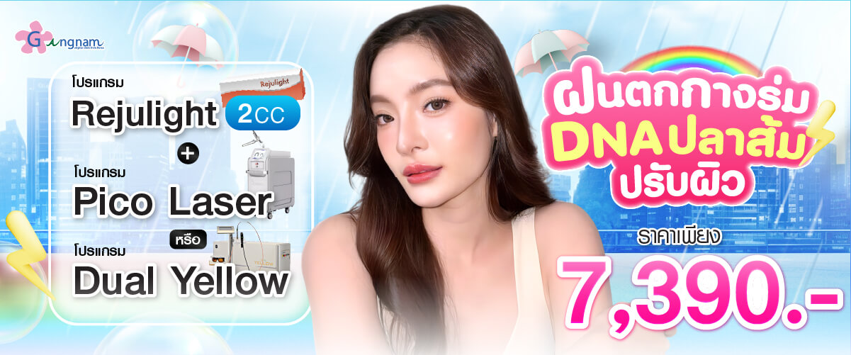 โปรโมชั่น โปรแกรม Rejulight