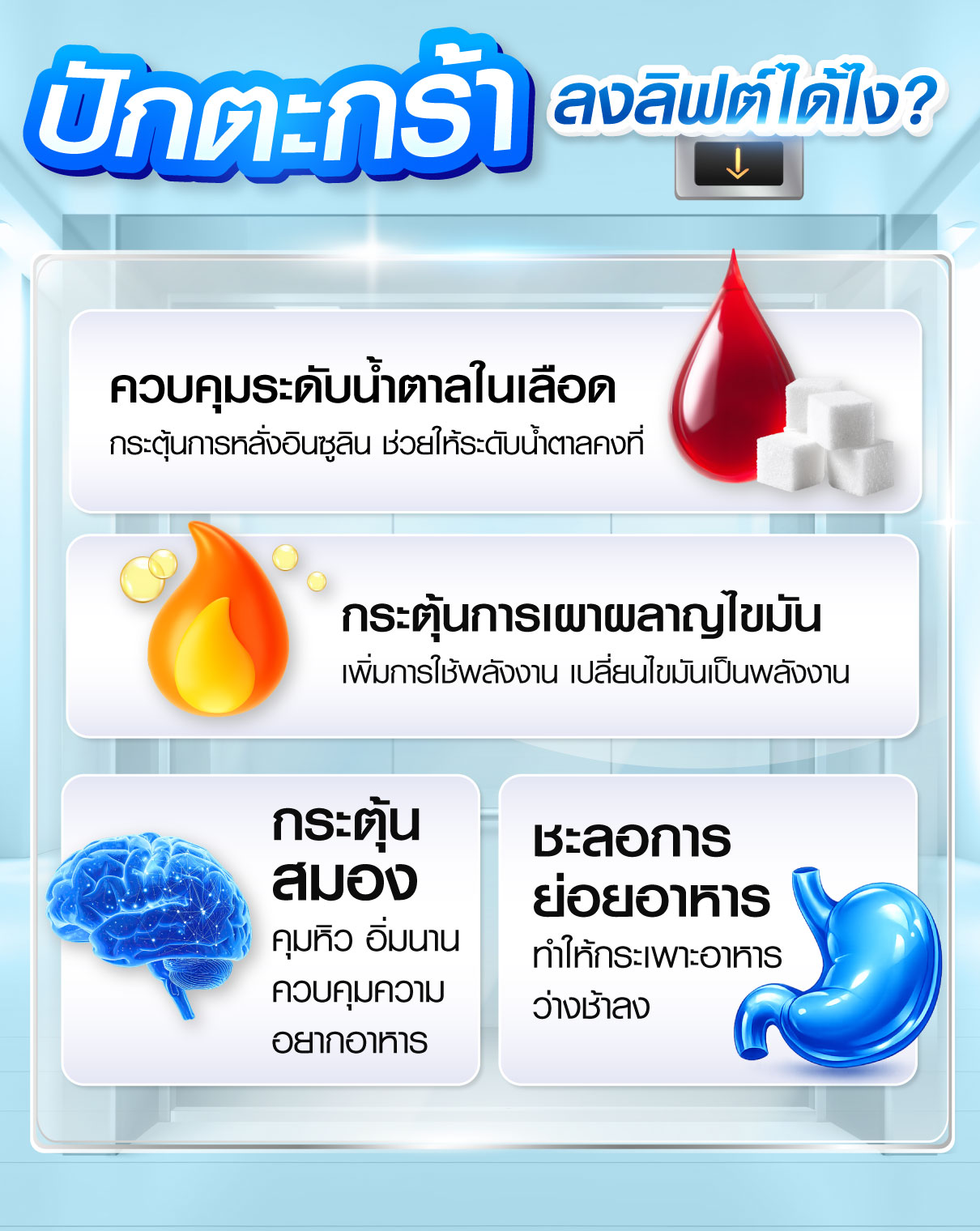 การทำงาน
