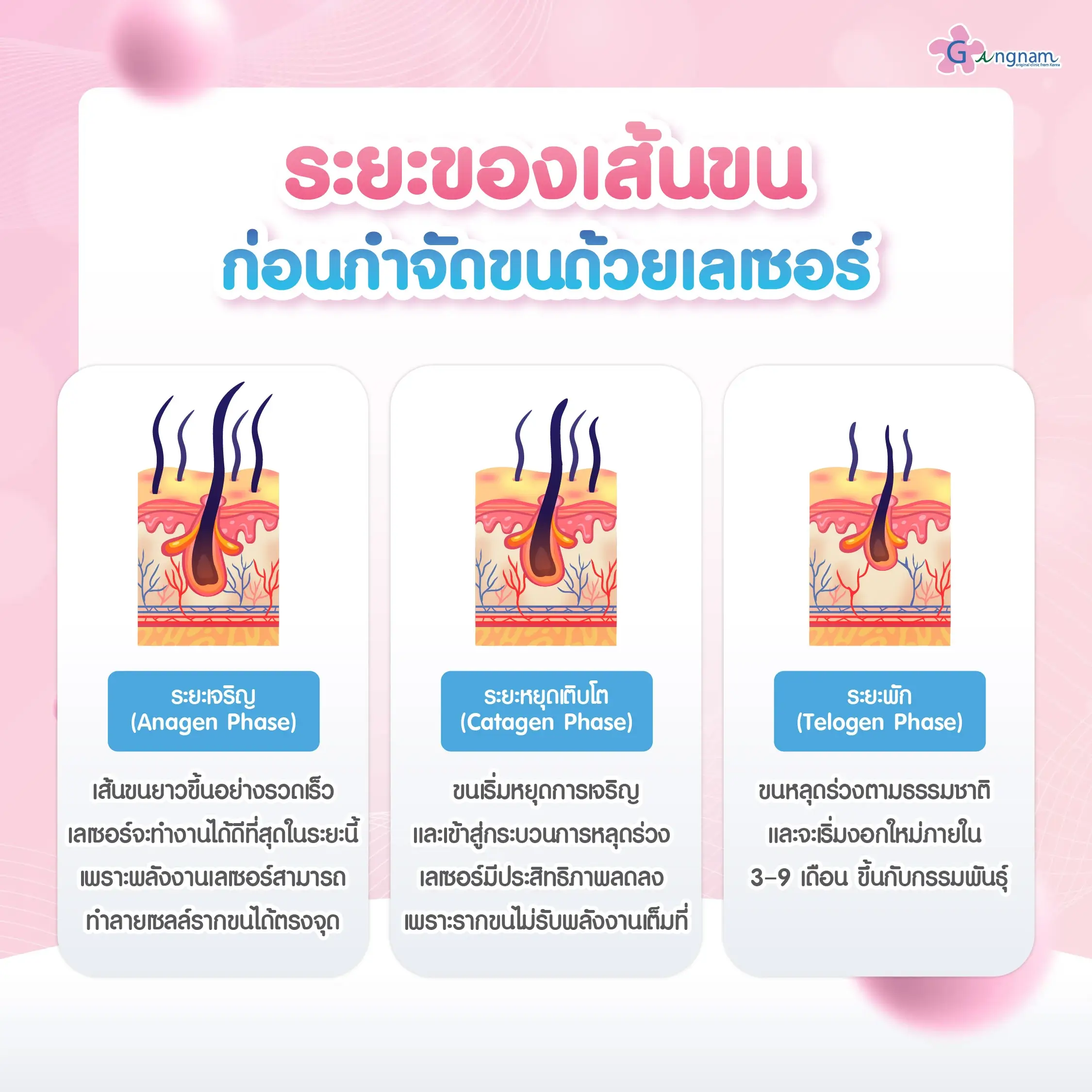 ระยะเส้นขน-ก่อนเลเซอร์